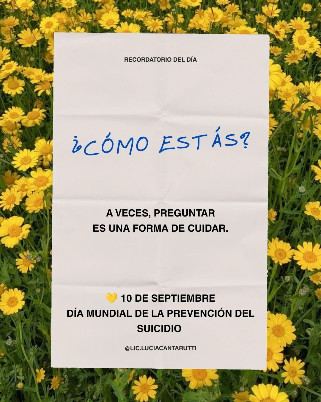 Tarjeta con el mensaje «¿Cómo estás? A veces, preguntar es una forma de cuidar», sobre un fondo de margaritas amarillas, por el Día Mundial de la Prevención del Suicidio (10 de septiembre)